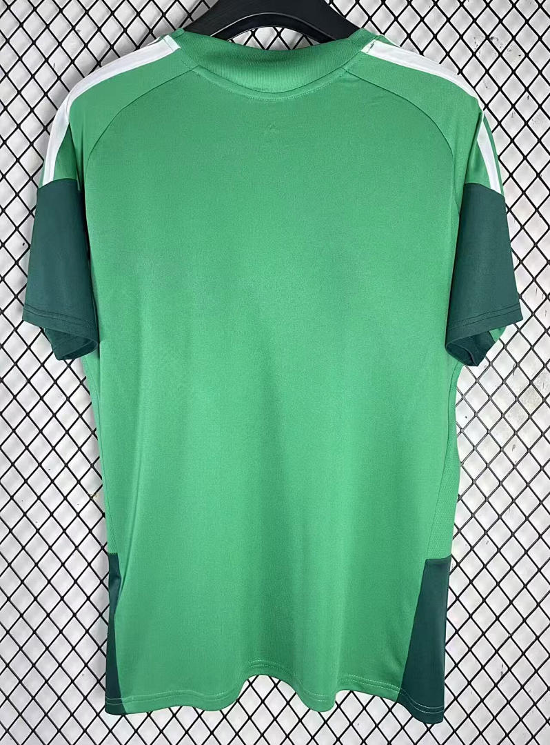 2526 Algerian Green S Xxxxl Maillot Domicile miniature 2