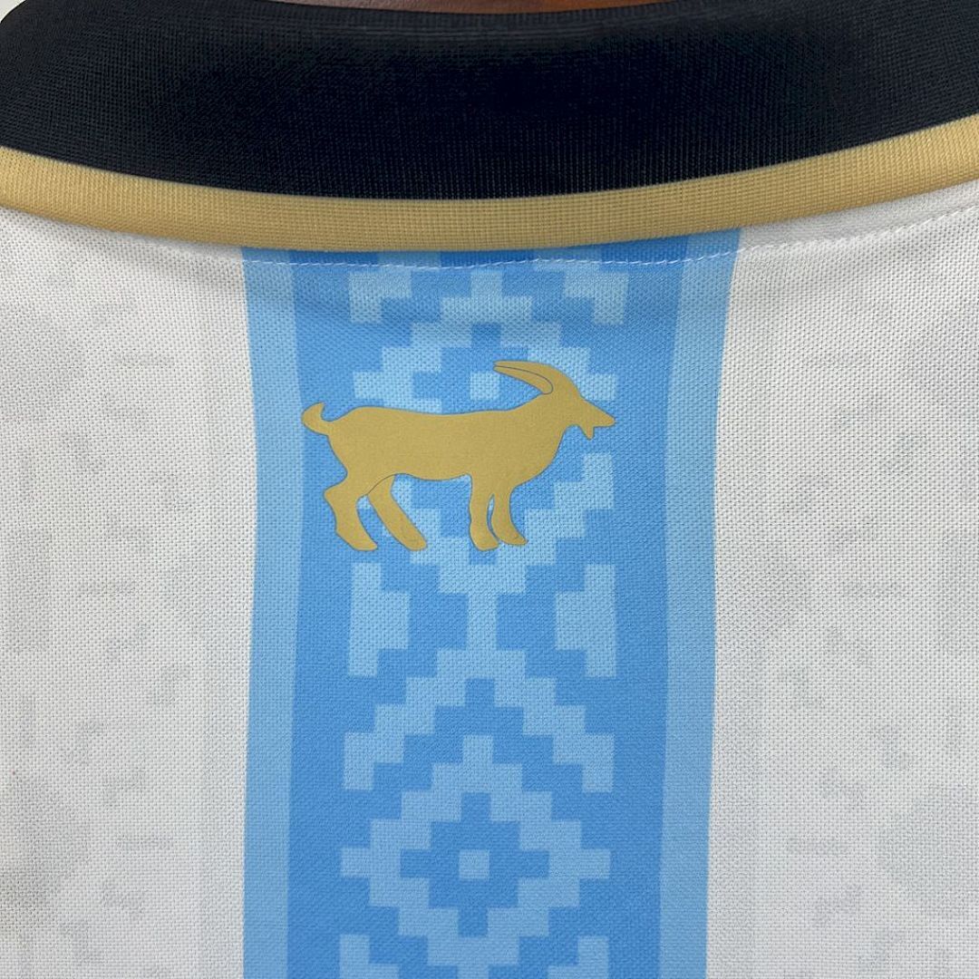 Argentine Maillot Domicile Edition Speciale miniature 9