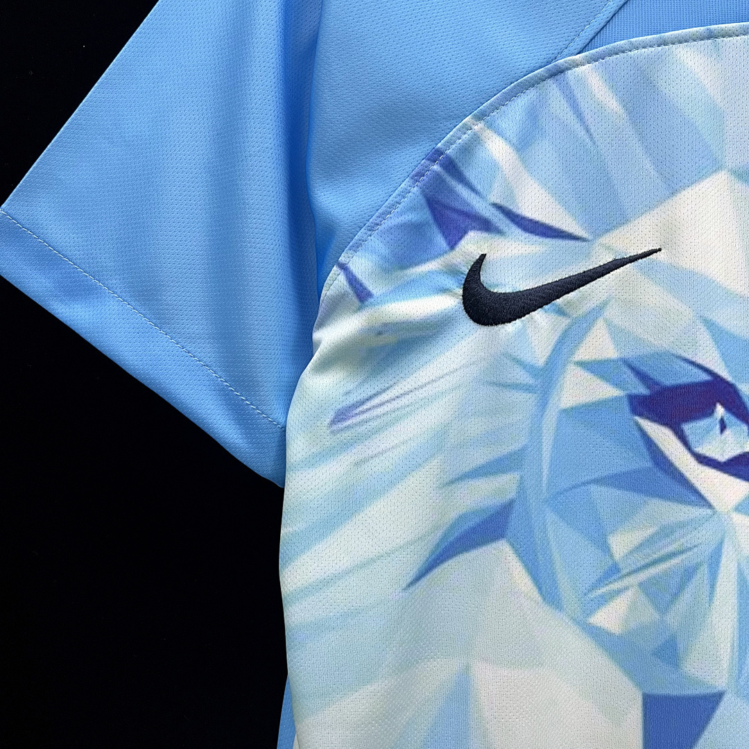 Pays-Bas Maillot Domicile Edition Speciale miniature 6