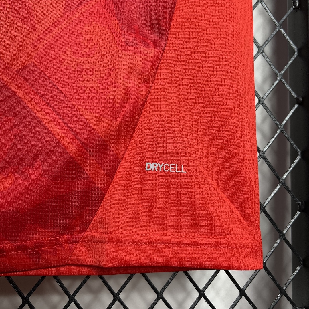 Czech Republic 2024-2025 Euro Maillot Domicile miniature 6