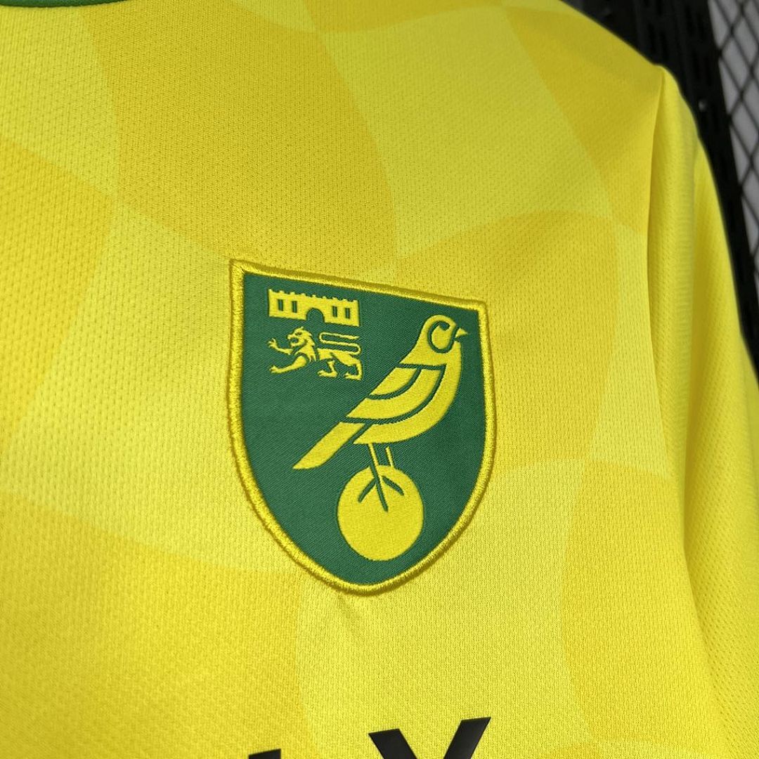 Norwich City F C 2024-2025 Maillot Domicile miniature 5