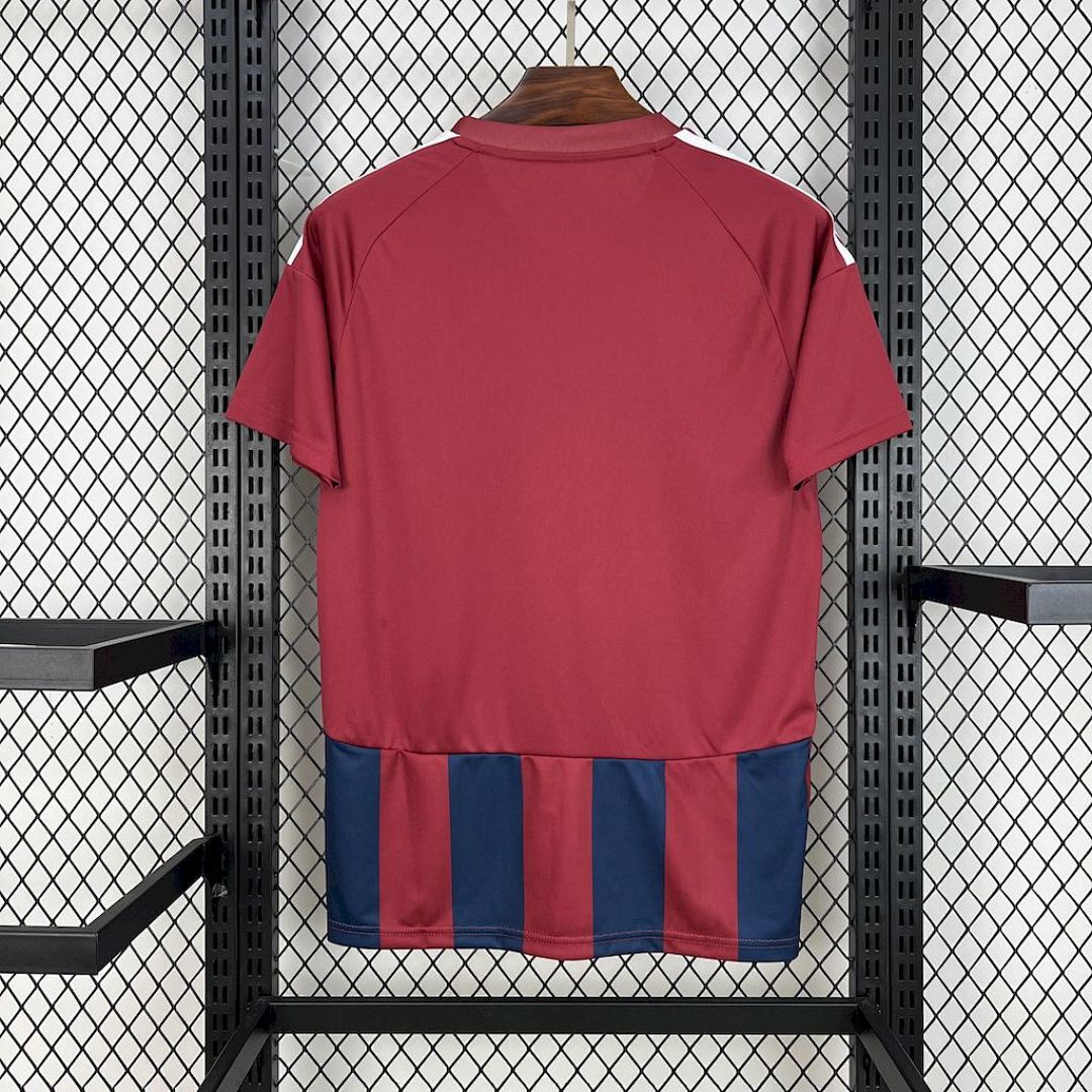 Pec Zwolle 2025-2026 80Th Anniversary Special Edition Maillot Domicile Edition Speciale miniature 7