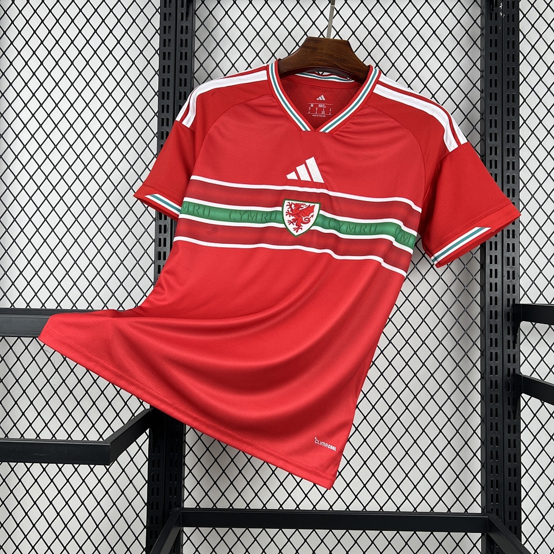 Wales World Cup Maillot Domicile 2026
