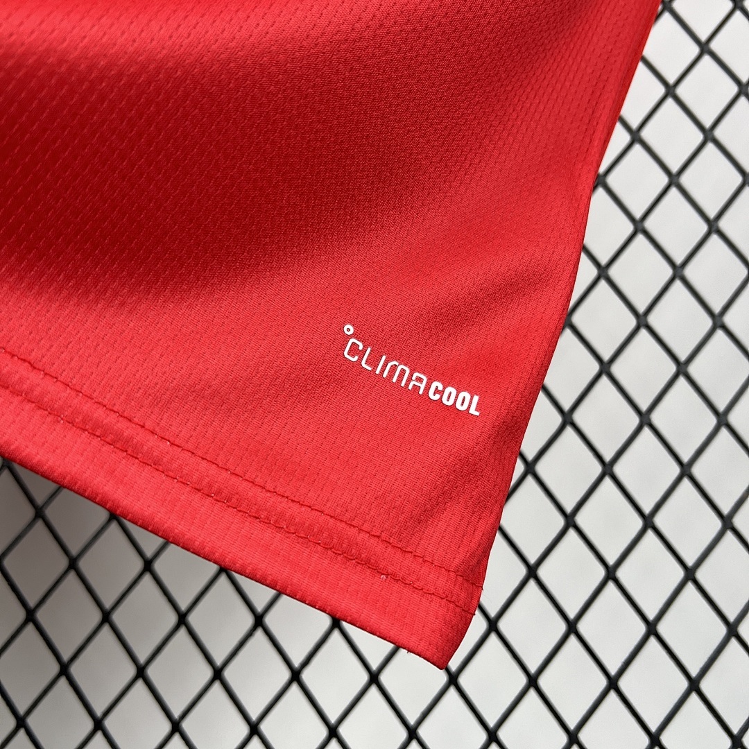 Wales World Cup Maillot Domicile 2026 miniature 4