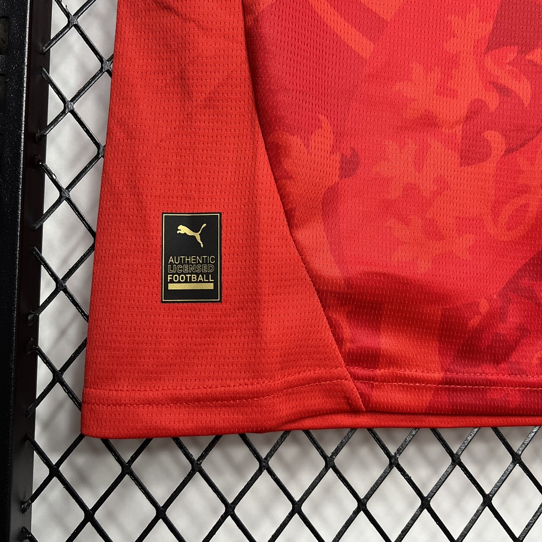 Czech Republic 2024-2025 Euro Maillot Domicile miniature 5