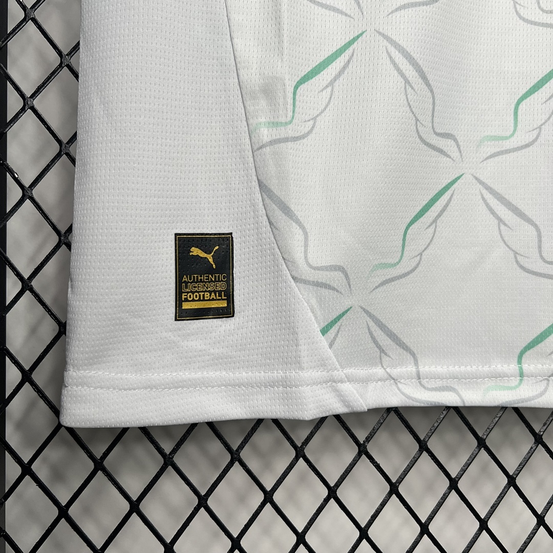 Austria 2024-2025 Euro Maillot Exterieur miniature 5