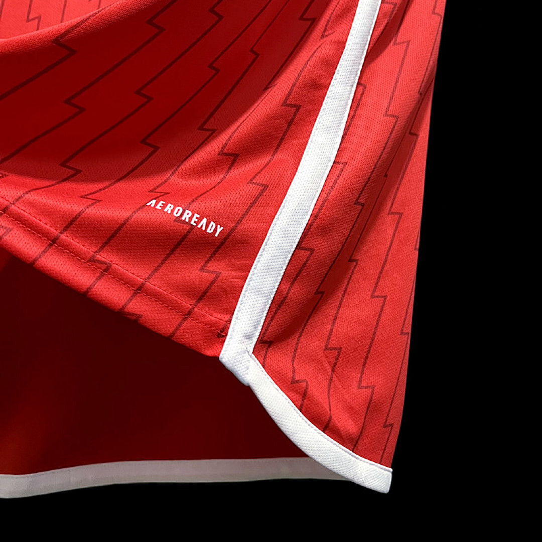 Arsenal Maillot Domicile Manches Longues miniature 6