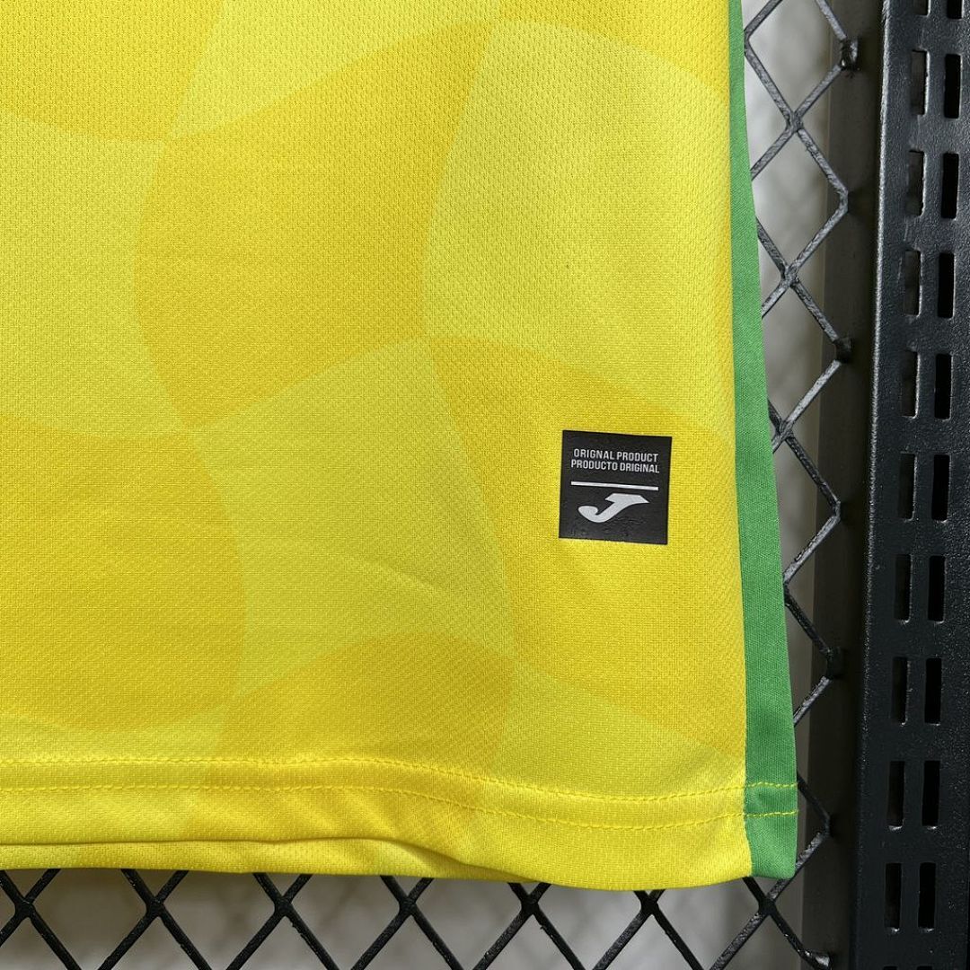 Norwich City F C 2024-2025 Maillot Domicile miniature 6