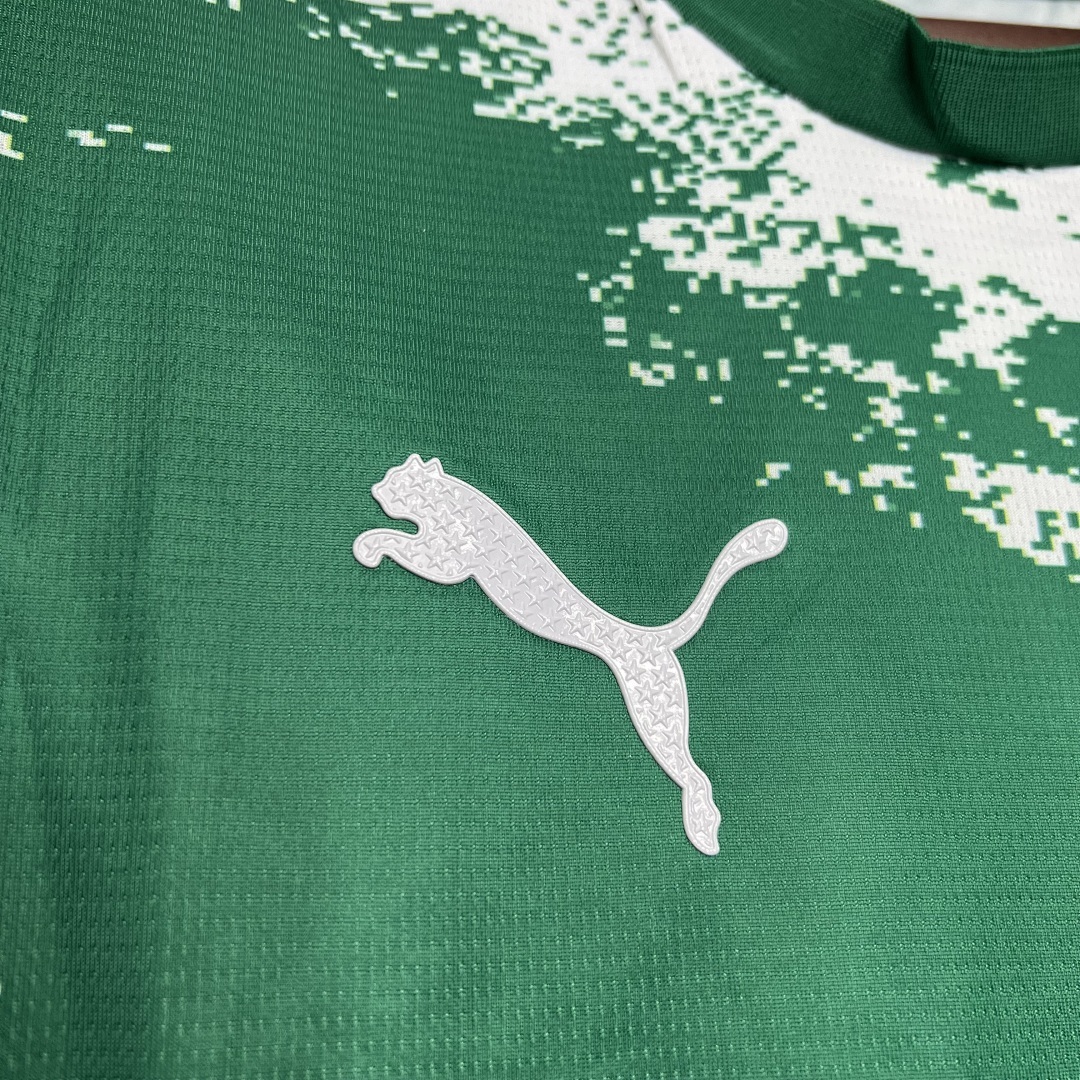 Palmeiras 2024-2025 Special Edition Green And White Maillot Domicile Edition Speciale miniature 6