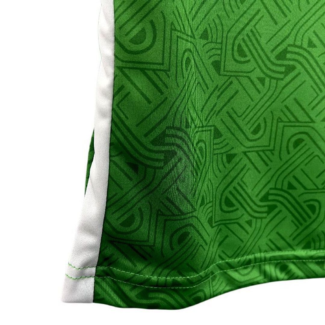 2425 Ireland Maillot Domicile miniature 2