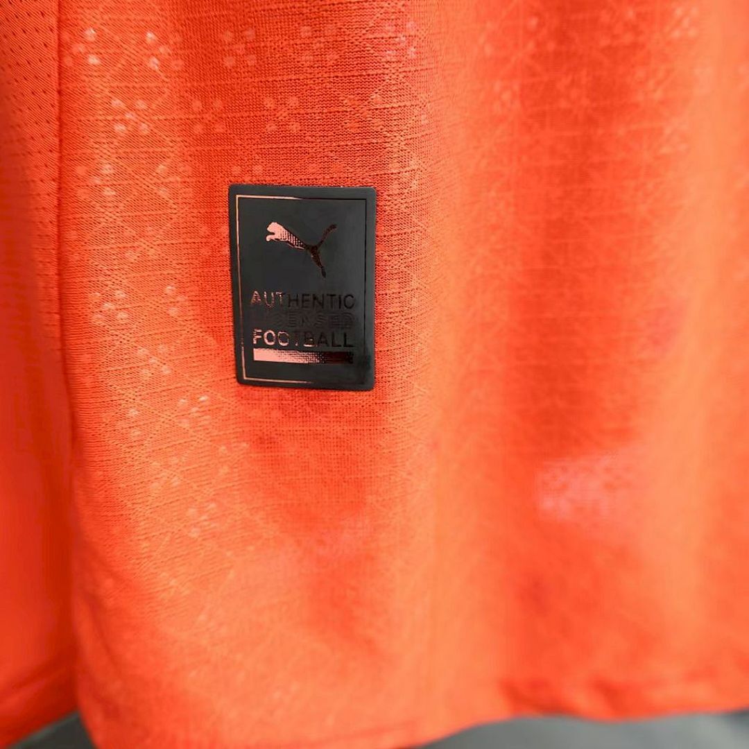 Portugal Maillot Domicile Version Joueur Manches Longues miniature 5